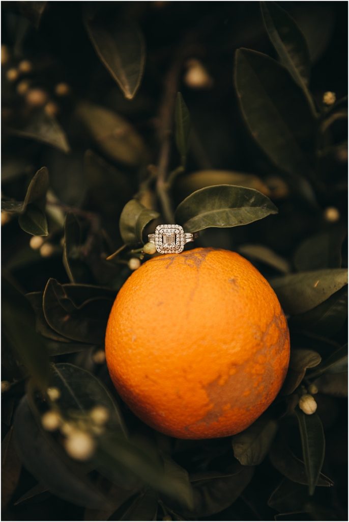 engagement ring detail in orange groves at California Citrus State Historic Park in Riverside, CA by Dallas Wedding Photographer for their engagement session 