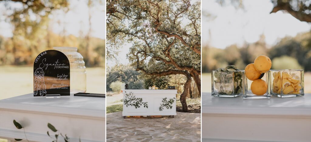 The Addison Grove Wedding Photos by Austin Wedding Photographer Kyrsten Ashlay Photography