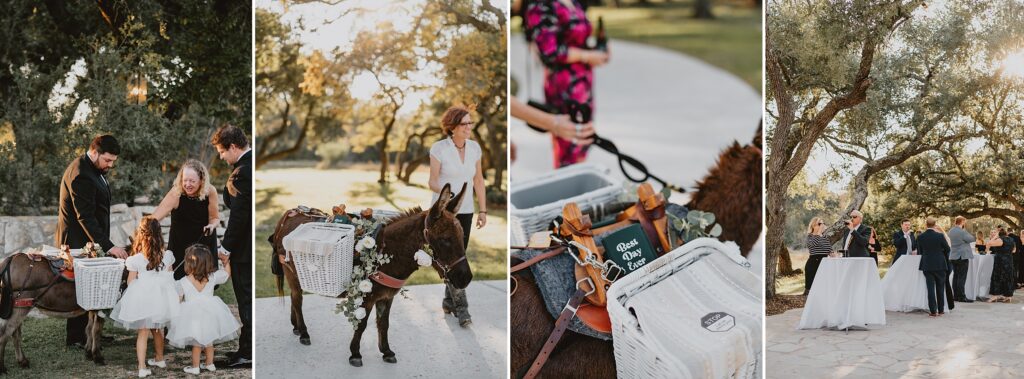 The Addison Grove Wedding Photos by Austin Wedding Photographer Kyrsten Ashlay Photography