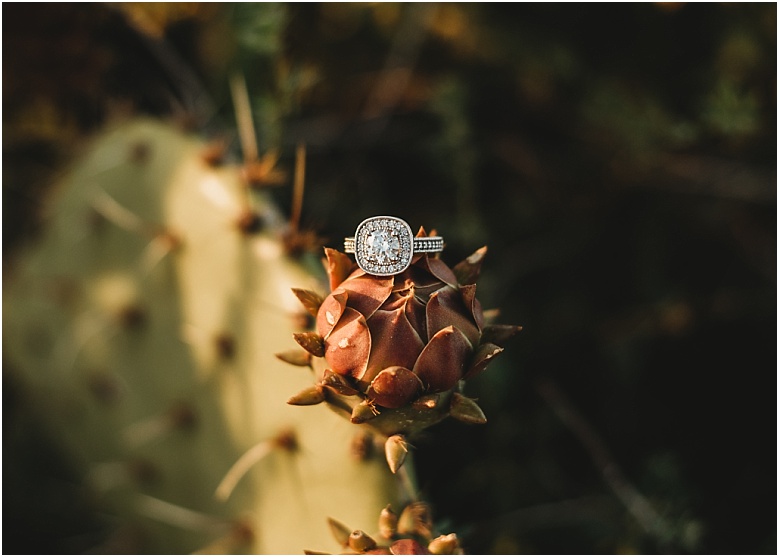 Torrey Pines Engagement in La Jolla, CA by Dallas, TX and Temecula, CA wedding photographer