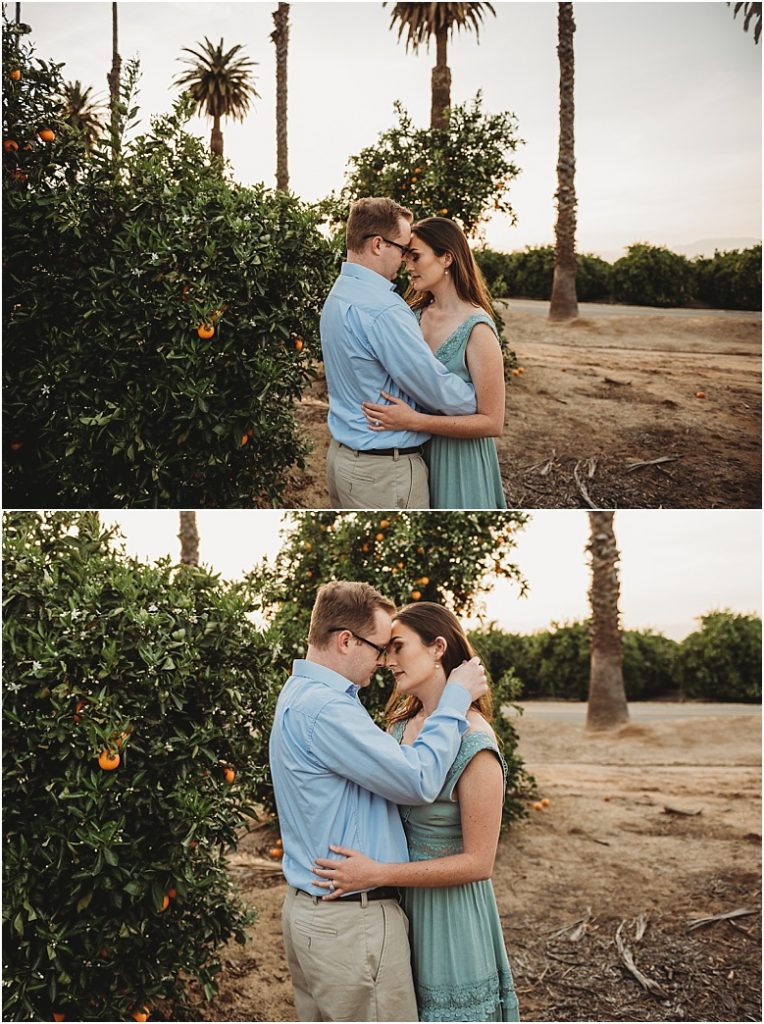 couple in orange groves at California Citrus State Historic Park in Riverside, CA by Dallas Wedding Photographer for their engagement session 
