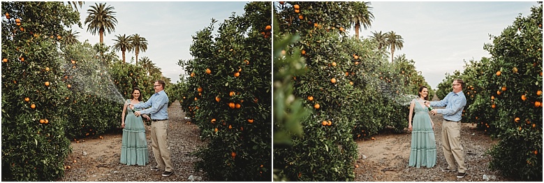 couple popping champagne in orange groves at California Citrus State Historic Park in Riverside, CA by Dallas Wedding Photographer for their engagement session 