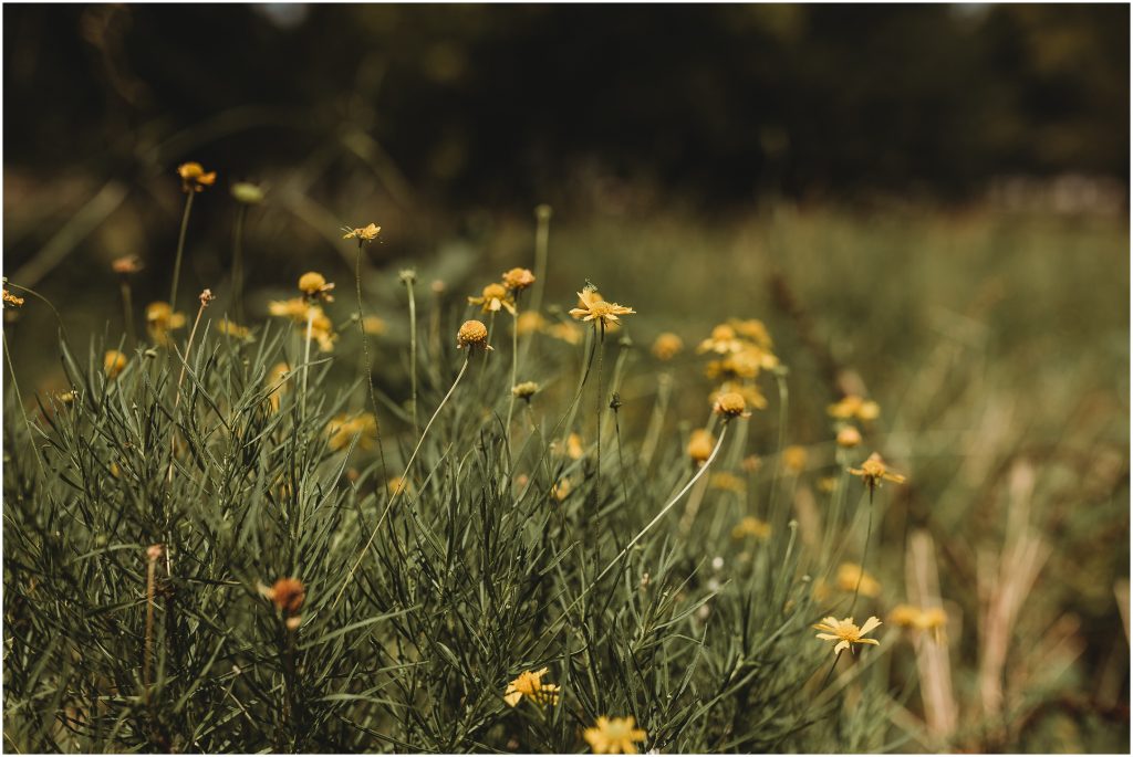 The Pearl at Sabine Creek - Best East Texas Wedding Venue 