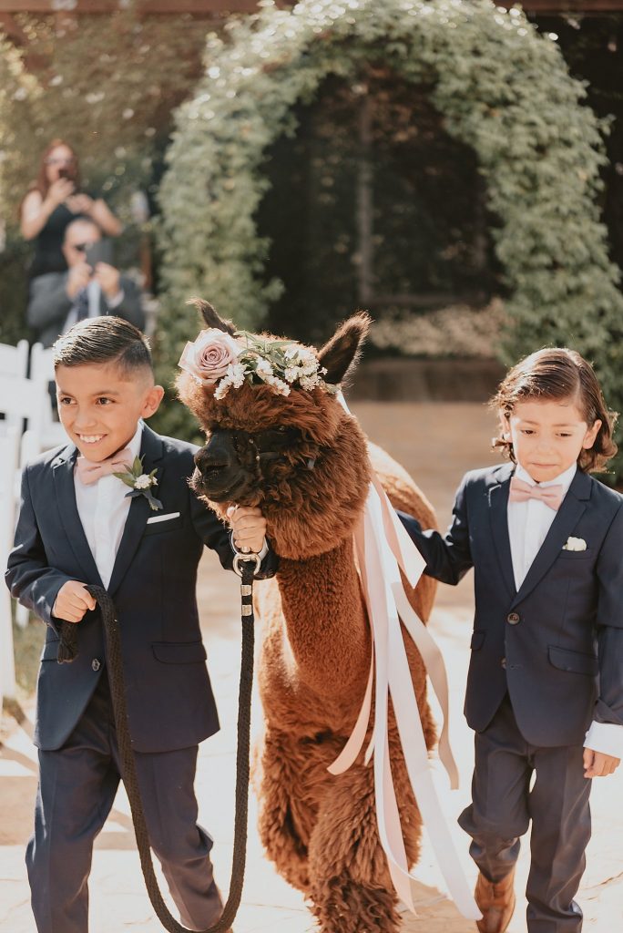 Forever and Always Farm Wedding