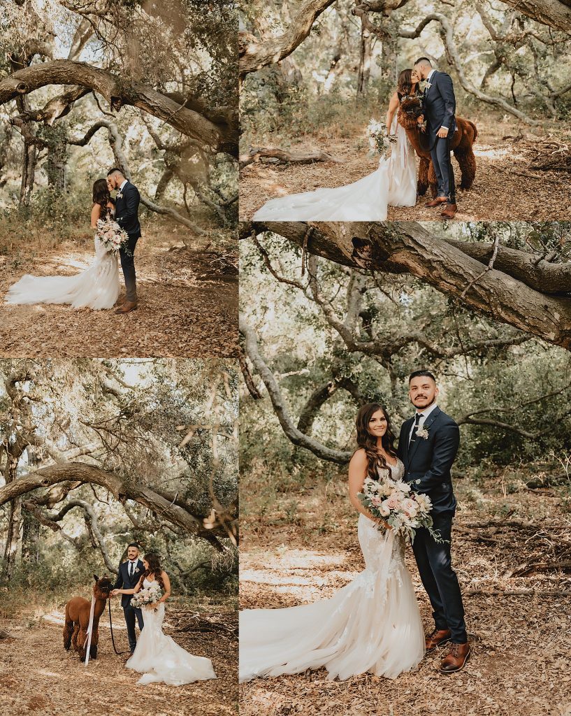 Forever and Always Farm Wedding