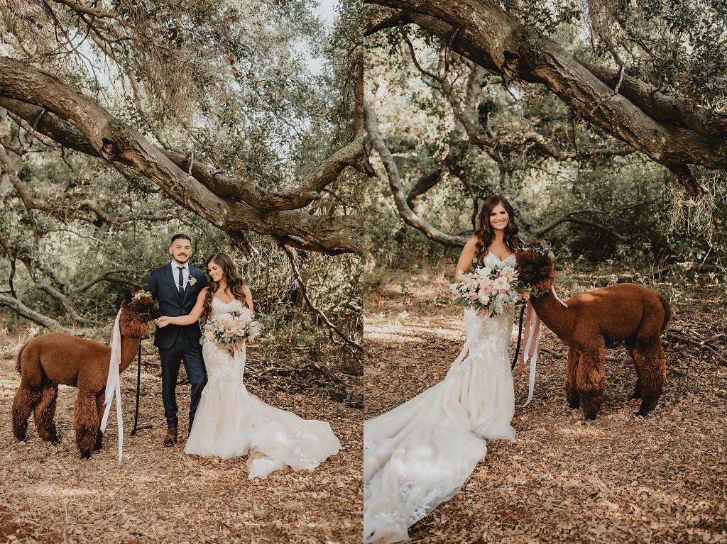Forever and Always Farm Wedding