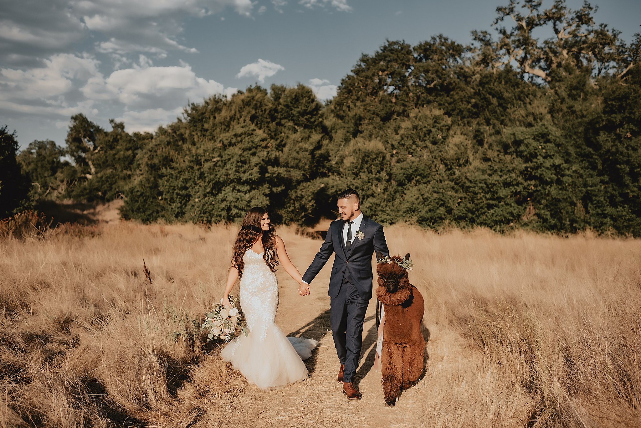 Forever and Always Farm Wedding