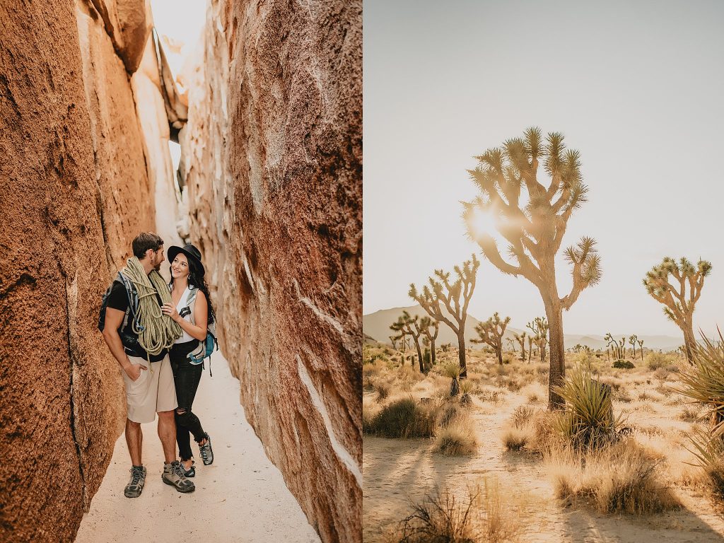 Joshua Tree Engagement 
