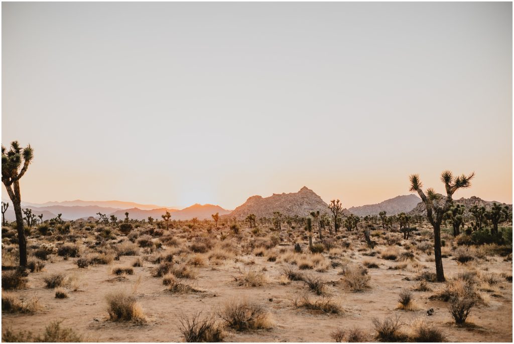 Playful Joshua Tree National Park Engagement Photos by California Wedidng Photographer Kyrsten Ashlay Photography