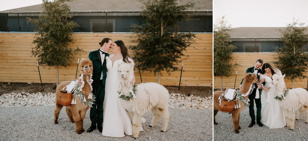 Camino Real Ranch Wedding by Austin Wedding Photographer Kyrsten Ashlay Photography