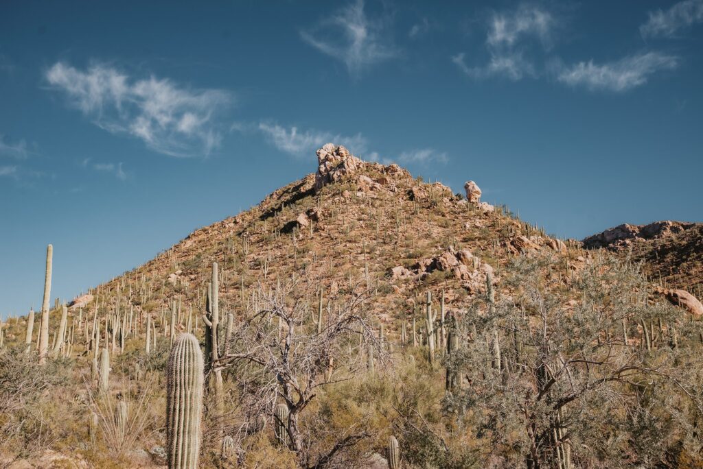 Saguaro National Park Engagement Session in Tucson AZ by Destination Wedding Photographer Kyrsten Ashlay Photography