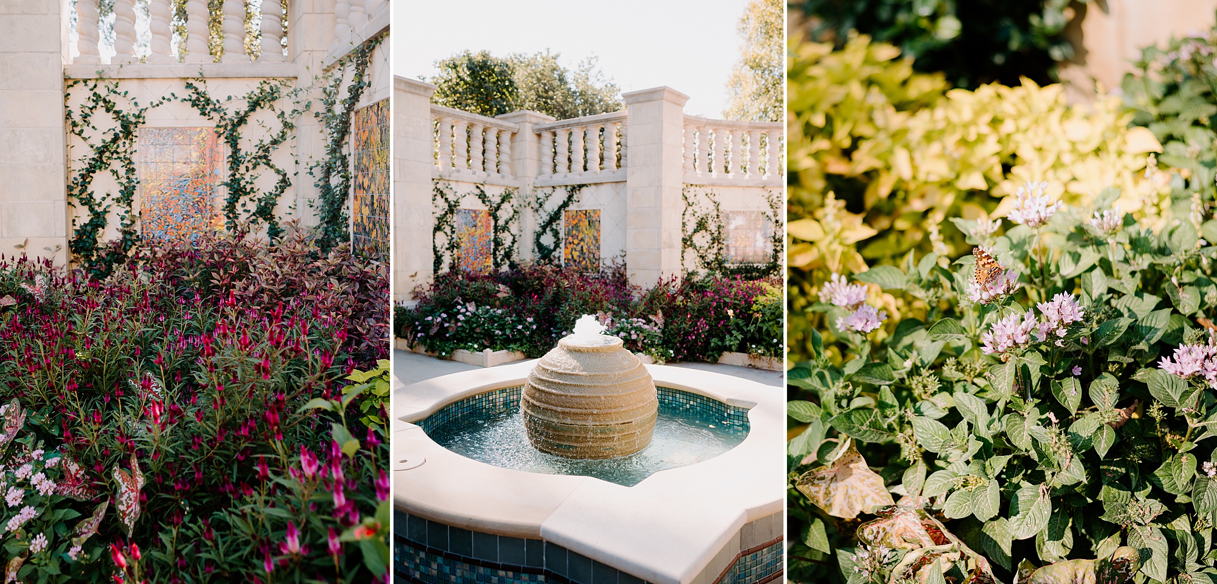 Dallas Arboretum Poetry Garden proposal photographer