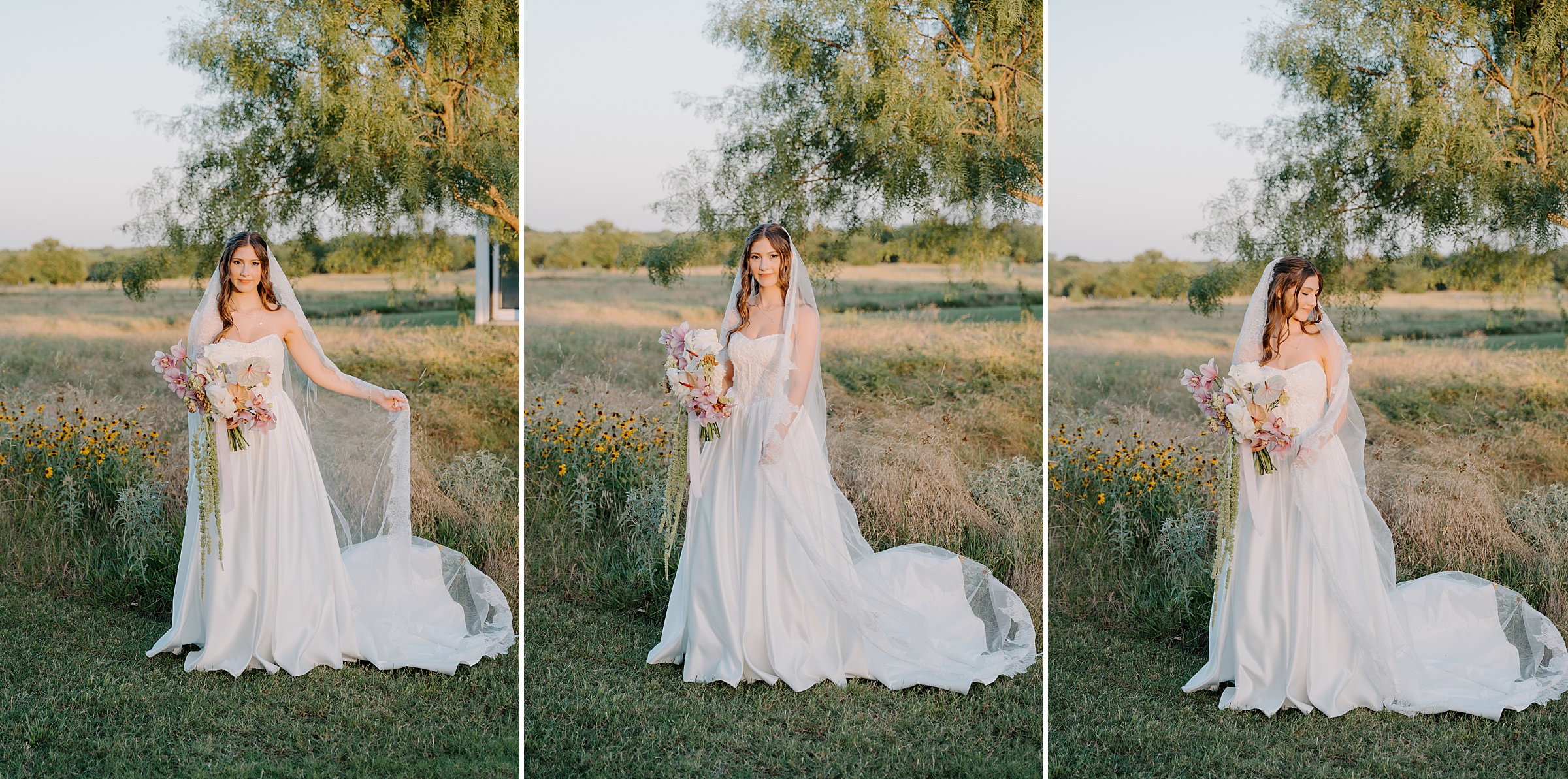 open field golden hour portraits Davis and Grey Farms