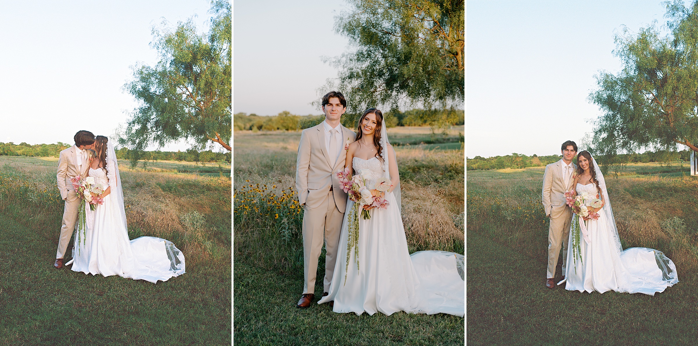 open field golden hour portraits Davis and Grey Farms