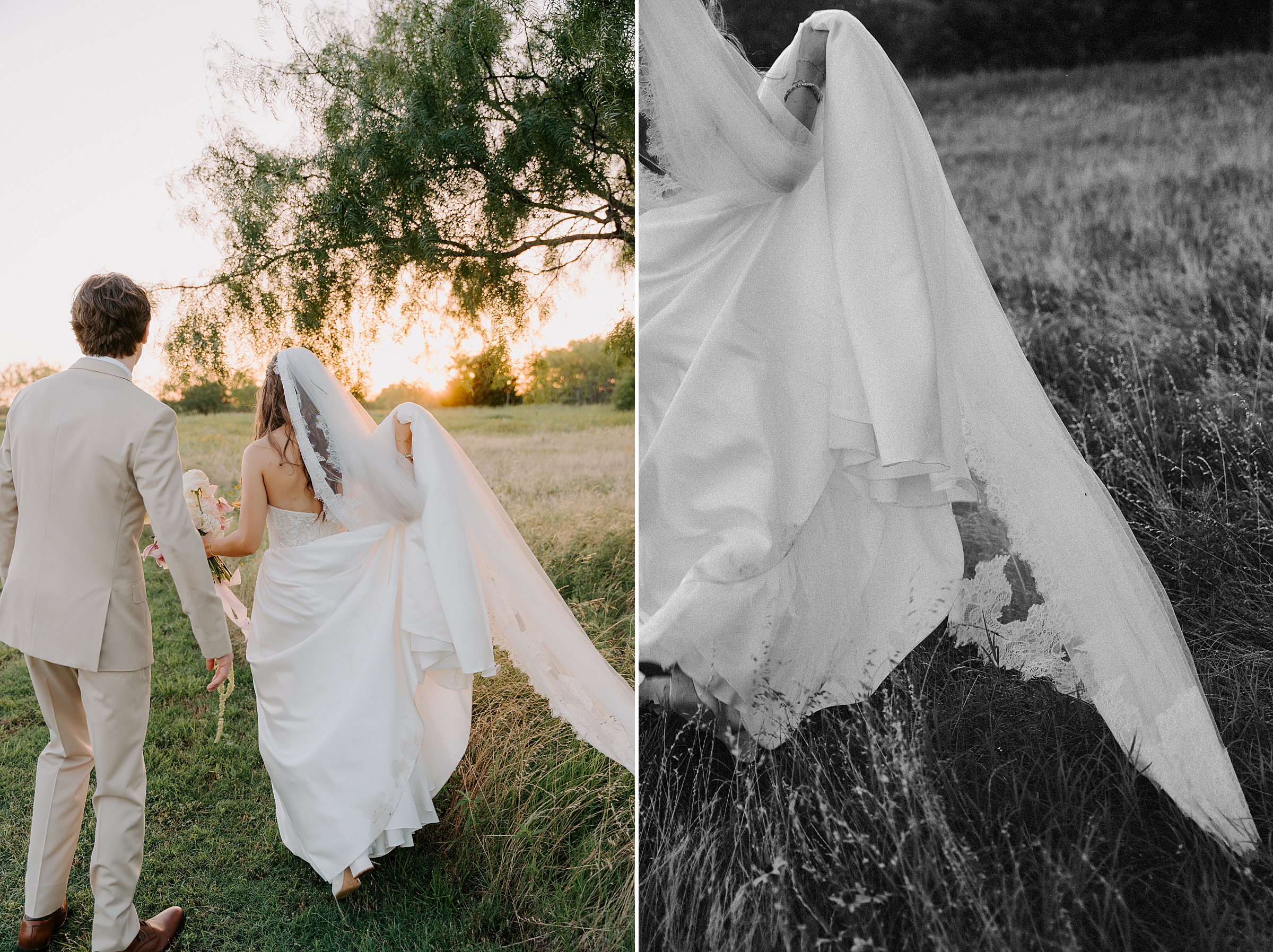 open field golden hour portraits Davis and Grey Farms