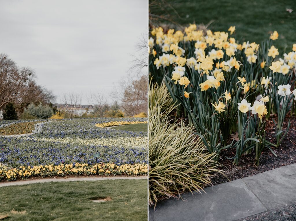 Dallas Arboretum Proposal by Dallas Proposal Photographer Kyrsten Ashlay Photography